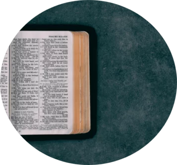 holy Bible on green background